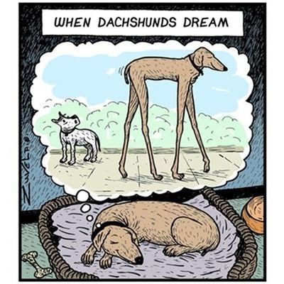 when_dachshunds_dream_mousepad.jpg