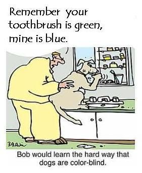 514374d24407e72f67034150c544f001--dentist-humor-dental-humour.jpg