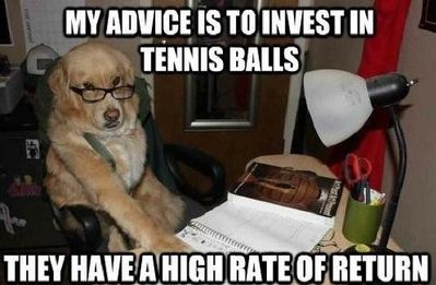 dog_accountant_540.jpg