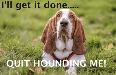 dog-pun-9-1024x668.png