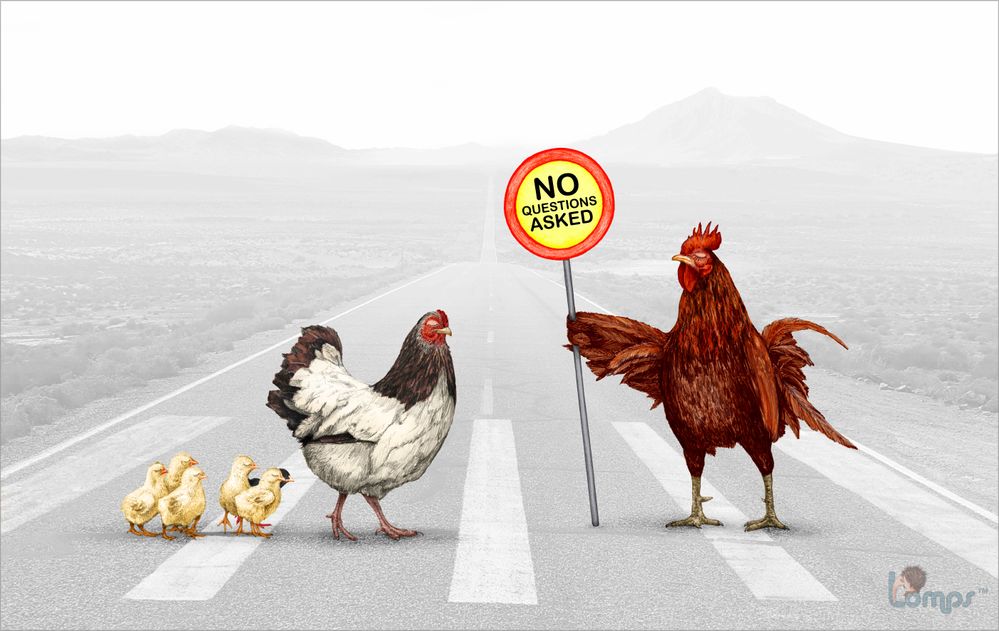 why-did-the-chicken-cross-the-road.jpg