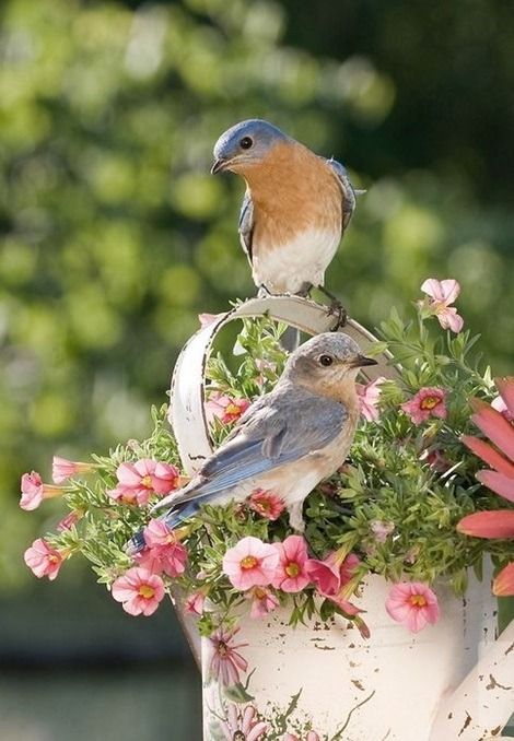 birdandflowercan.jpeg