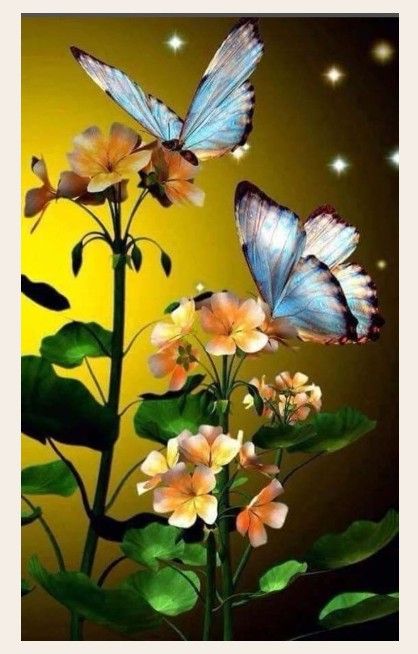 butterflies957_1.jpeg