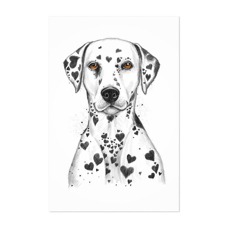 dalmatian_800x.jpg